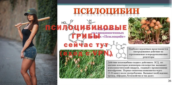 дживик Покачи